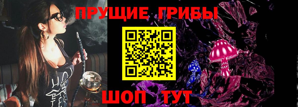 Псилоцибиновые грибы прущие грибы  Вход с VPN  Бор 